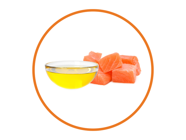 Olio di salmone