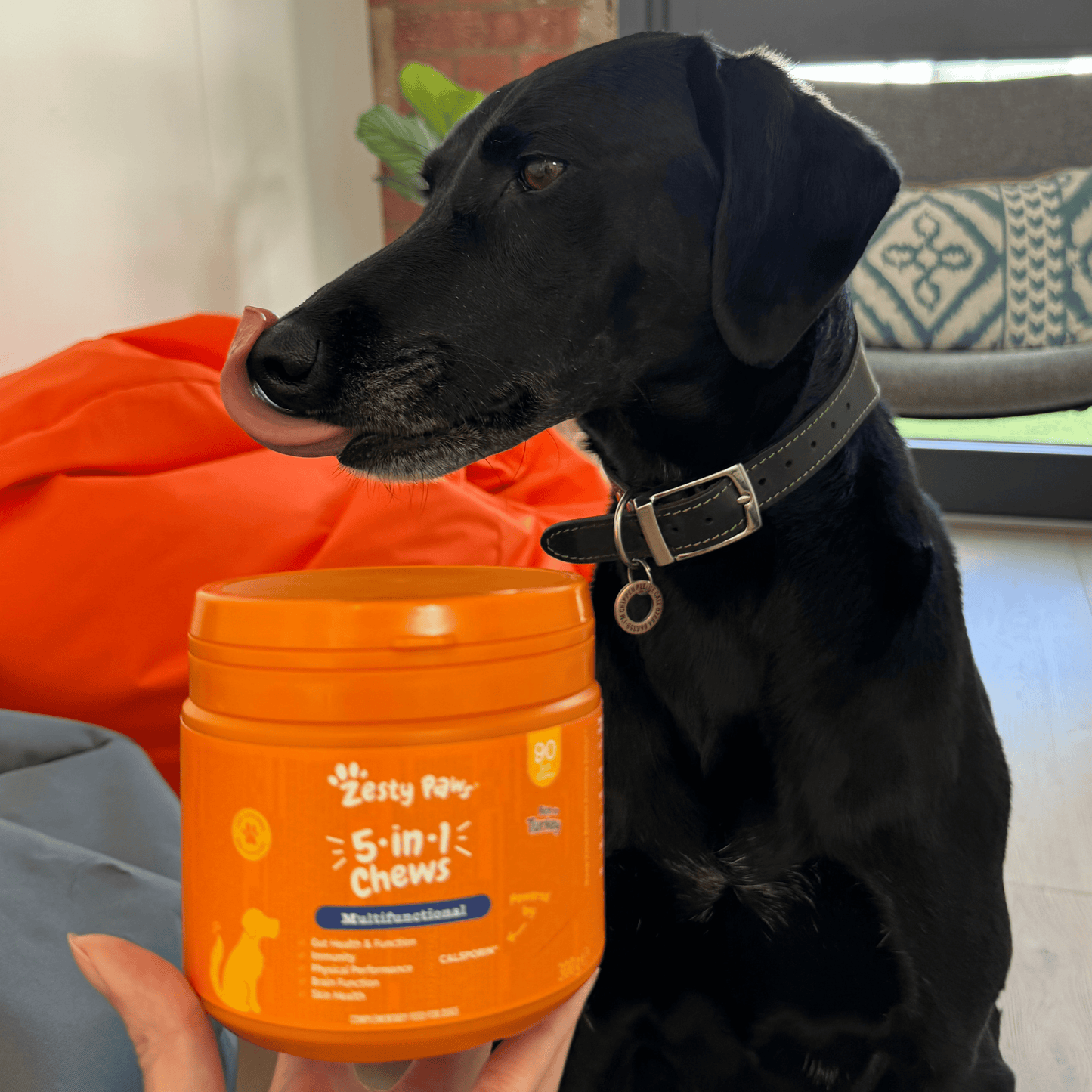 Zesty Paws 5-in-1 Chews