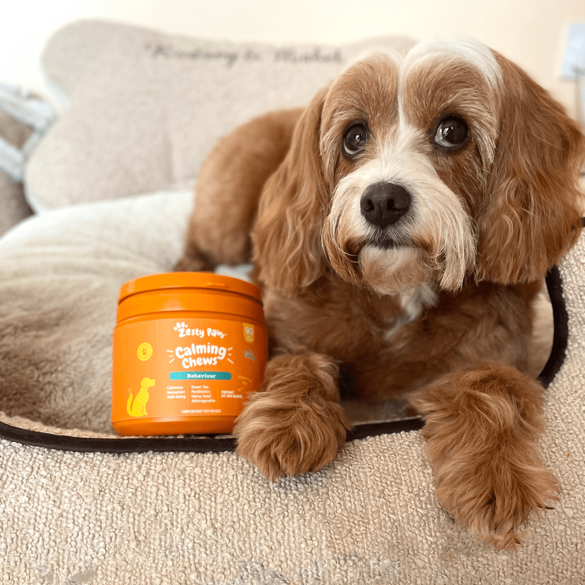 Zesty Paws Calming Chews
