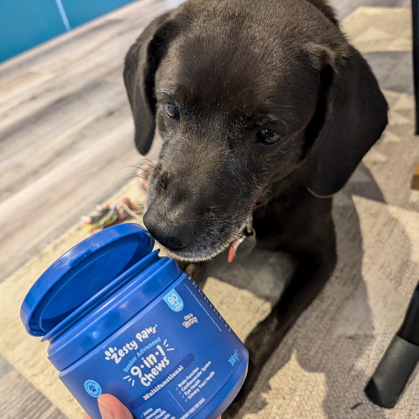Zesty Paws Senior Advanced 9-in-1 Chews