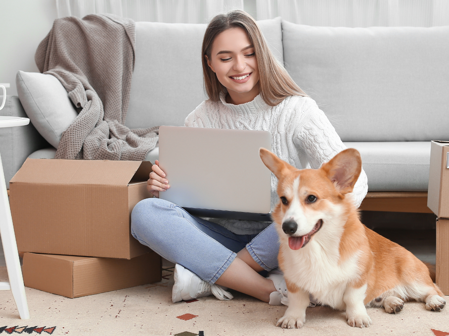 Tips for keeping supplements away from dogs