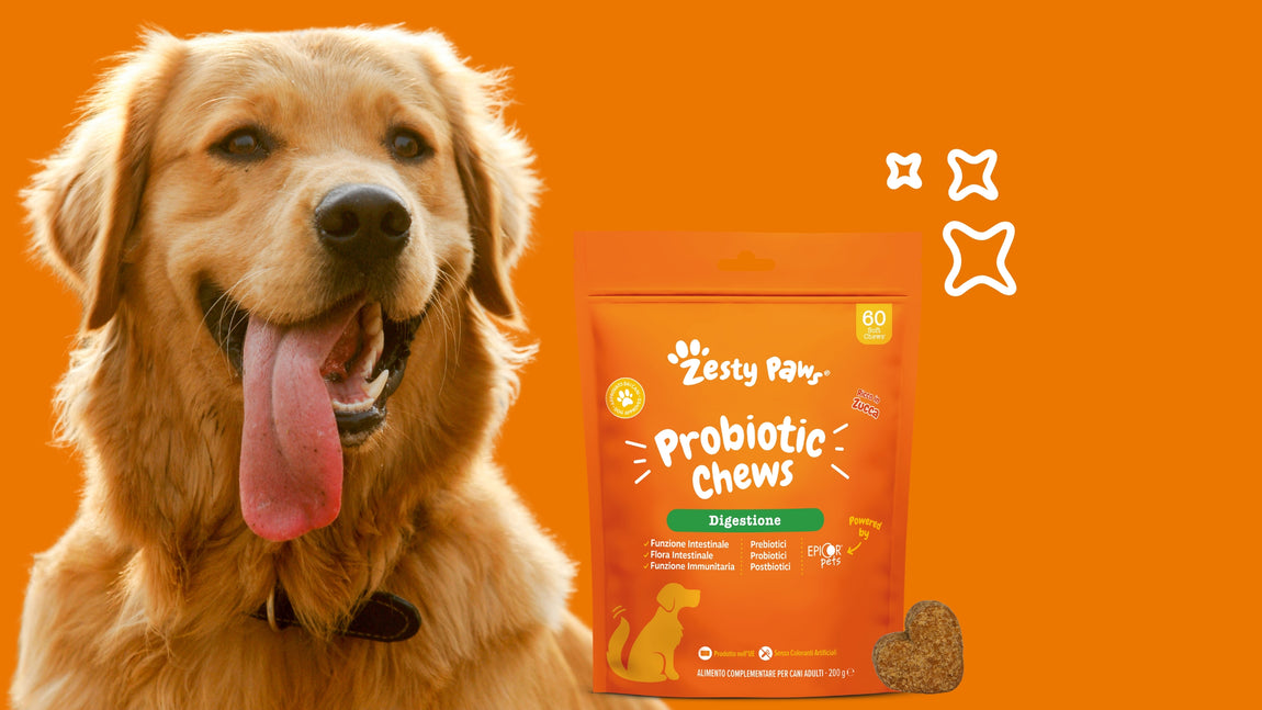 Immagine raffigurante un cane e un prodotto Zesty Paws