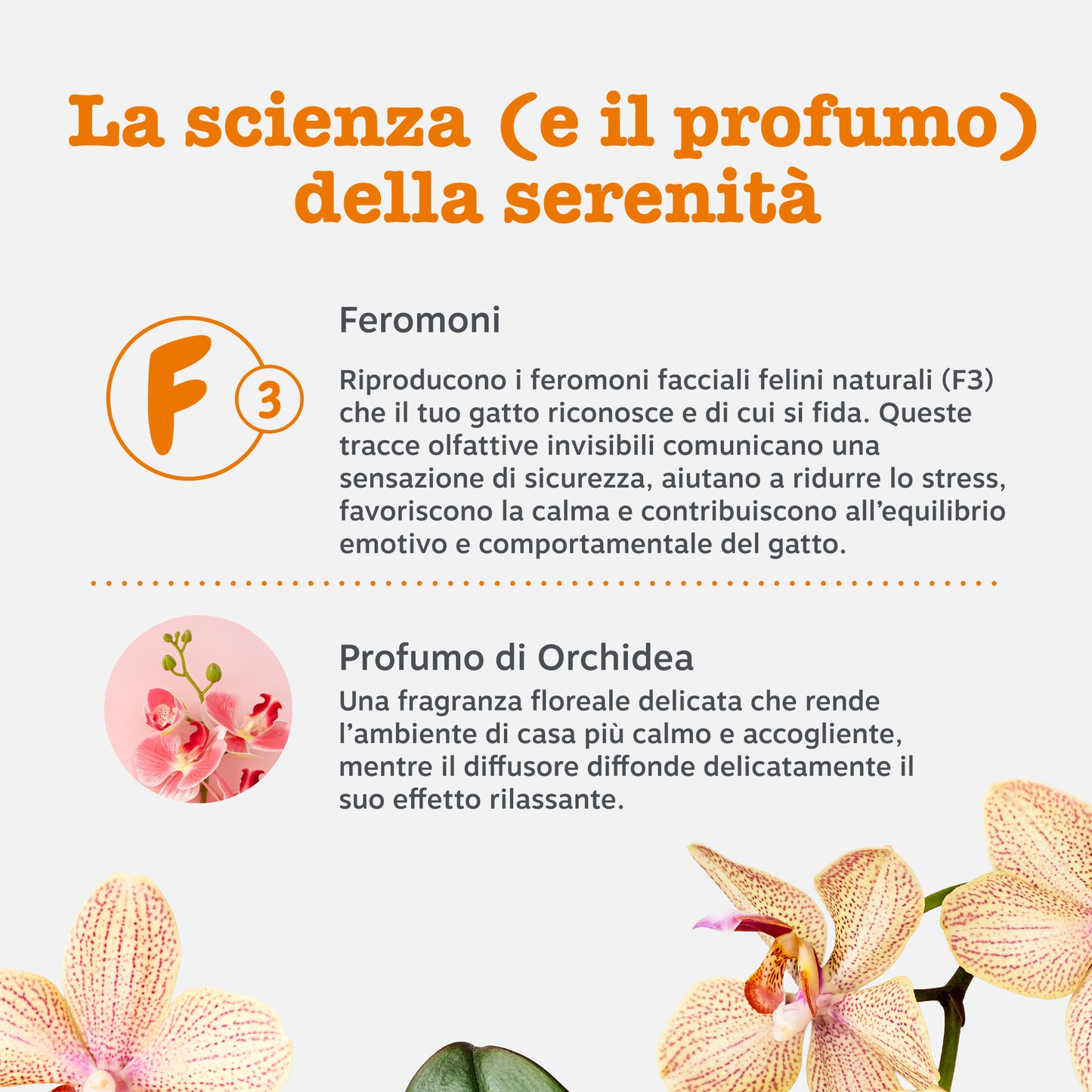 Diffusore Rilassante