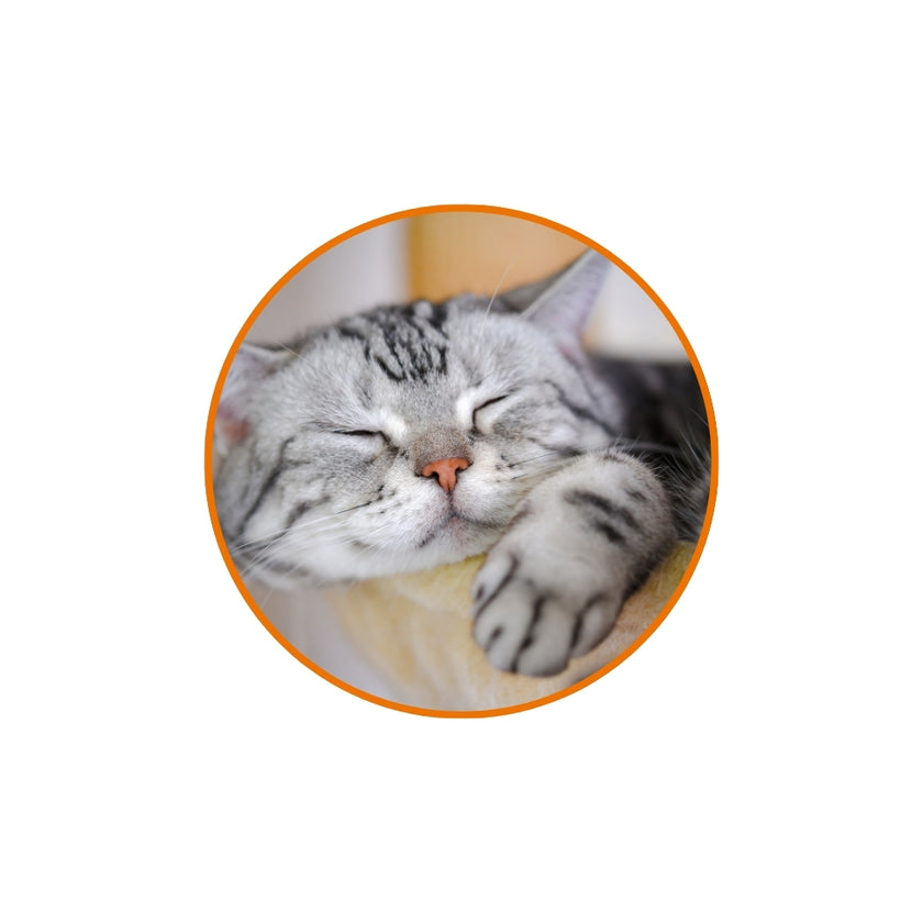 Feromone facciale felino F3