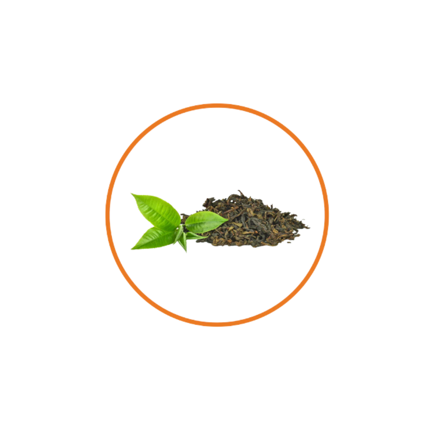 Estratto di Tè Verde