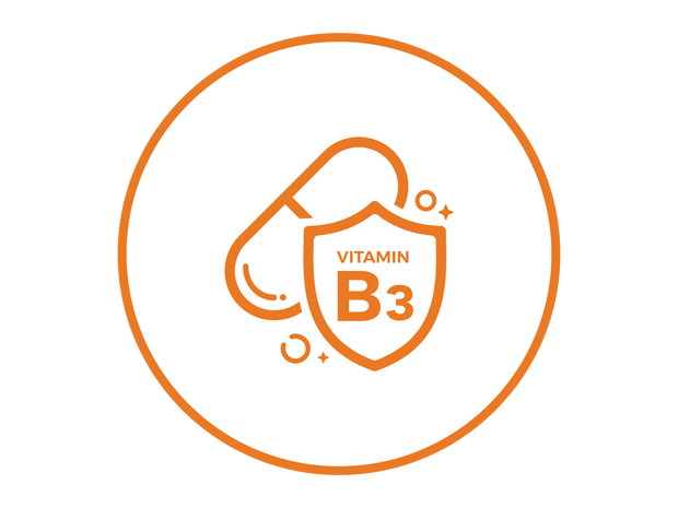 Vitamina B3 (niacinamide) 